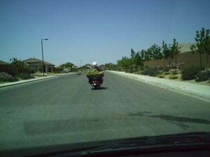 Hauling a heavy load to the roadside